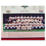 1991 World Series Minnesota Twins Championship Team Plaque
