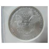 2006 Silver Eagle Dollar