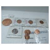 Assorted Pennies and Copper