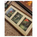 Collection of Assorted Framed Art and Decorative Picture Frames