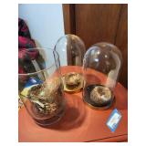 Collection of Bird Nests with Glass Domes and Display Vase