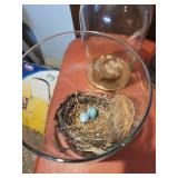 Collection of Bird Nests with Glass Domes and Display Vase