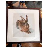 Framed Art Print of Albrecht Durer