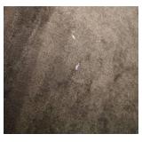 Dark Gray L-Shaped Sectional Sofa with Chaise & Cushions - Fabric Upholstery