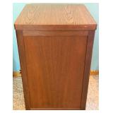 Cabinet - Vintage Dark Wooden Style Single Door & Pull-Out Drawer