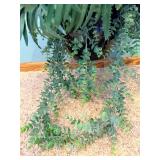 Embossed Metal & Ceramic Planter Vase/Pots with Foliage Motifs & Faux Ferns