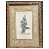 Botanical Prints Set of 3 in Ornate Frames by Robert Grace Aptos CA