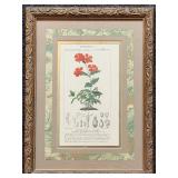 Botanical Prints Set of 3 in Ornate Frames by Robert Grace Aptos CA