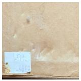 Botanical Prints Set of 3 in Ornate Frames by Robert Grace Aptos CA