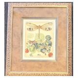 Raschella Collection Dragon Flies II - Framed Print 25 x 29