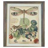 Raschella Collection Dragon Flies II - Framed Print 25 x 29