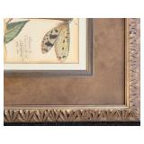 The Raschella Collection Dragon Flies I Framed Print - 25 x 29