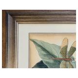 The Raschella Collection Dragon Flies I Framed Print - 25 x 29