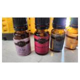 P&J Trading Premium Fragrance Oils including Lilac, Berries & Cream, Rain, French Vanilla, Coconut, Orangesickle - 1/2 to Full