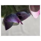 Flora Bone China Hand Painted Floral Posy Figurine