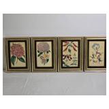 British Botanical Print Set by Alfred Adlard, c.1840