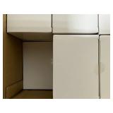 Case of 300 V Fold N95 B Masks Individual Packs