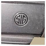 Savage 220, 20Ga Bolt Action Slug Gun, Cammo, Sig Sauer Red Dot