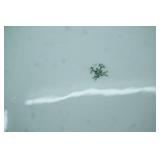 Vintage Milk Glass Anchor Hocking "Old Colony" Lace Edge Pedestal Compote Bowl, Fine China Serving Dish, Porcelain Basket