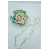 Sea Shells Collection