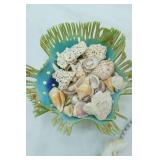 Sea Shells Collection