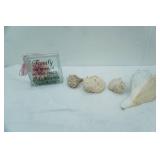 Large Sea Shells, Decorative Clear Glass Block