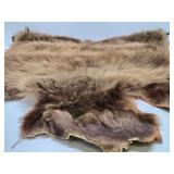 Excellent Genuine Cinnamon Bear Fur/Hide Rug