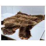 Excellent Genuine Cinnamon Bear Fur/Hide Rug