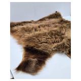 Excellent Genuine Cinnamon Bear Fur/Hide Rug