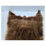 Excellent Genuine Cinnamon Bear Fur/Hide Rug