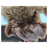 Excellent Genuine Cinnamon Bear Fur/Hide Rug