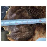 Excellent Genuine Cinnamon Bear Fur/Hide Rug