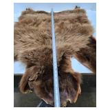 Excellent Genuine Cinnamon Bear Fur/Hide Rug