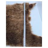 Excellent Genuine Cinnamon Bear Fur/Hide Rug