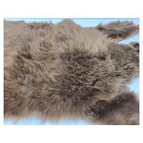 Excellent Genuine Cinnamon Bear Fur/Hide Rug