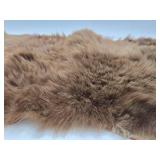 Excellent Genuine Cinnamon Bear Fur/Hide Rug