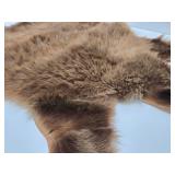 Excellent Genuine Cinnamon Bear Fur/Hide Rug