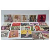 Estate Lot of Vintage Vinyl Records #6 - Approx 60 Adult Stag Records Records