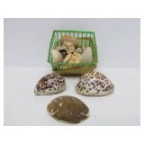 Estate Lot of Polished & Unpolished Stones Agates Quartz Crystal Shells etc