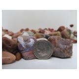 Estate Lot of Polished & Unpolished Stones Agates Quartz Crystal Shells etc