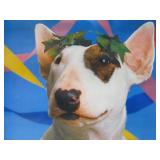 Very Cool Vintage 1980