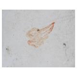 5 Gallon RED WING Stoneware Jug