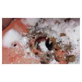 Set of Tires removed from Kubota Tractor