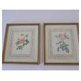 Pair of Framed Botanical Rose Prints with Gold Tone Frames