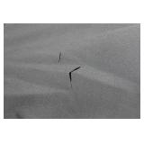 Blackfish Stormskin Gale Bibs - Medium