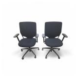 2 Harter Anthro Task Chairs