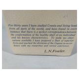 L.N. Fowler Phrenology Head Bust