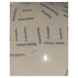 L.N. Fowler Phrenology Head Bust