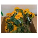 NEW MAINSTAYS TEDDY BEAR SUNFLOWER ( 20+ CT )