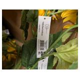 NEW MAINSTAYS TEDDY BEAR SUNFLOWER ( 20+ CT )